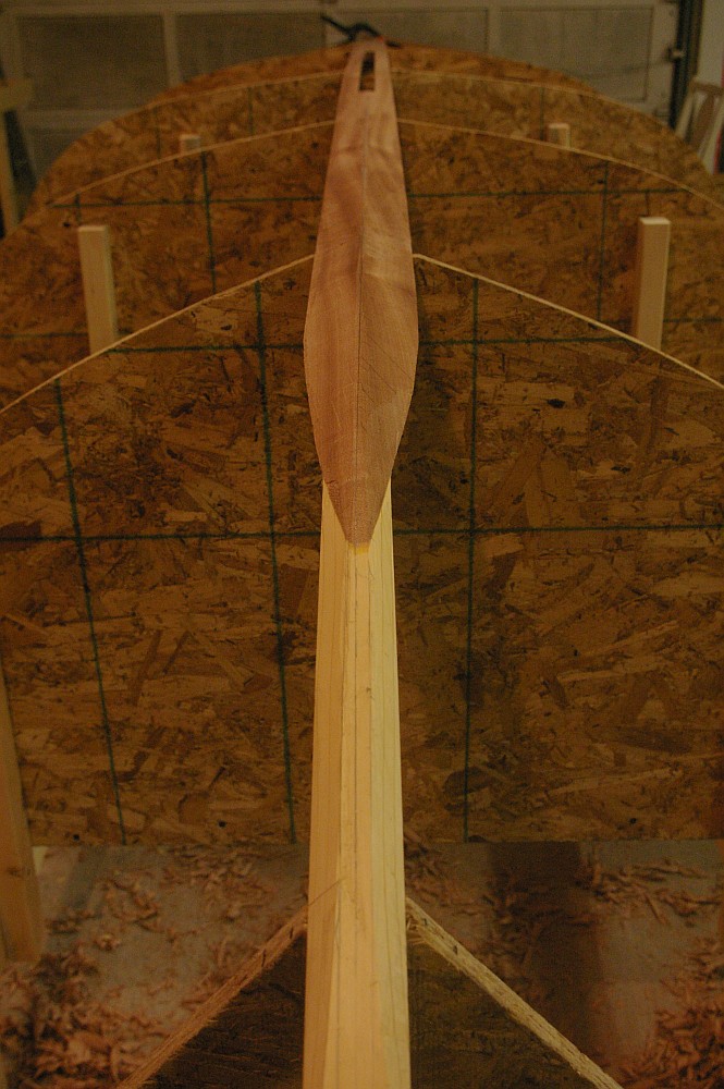 gal/Sooty_Tern_Build/Sooty_Tern_009.jpg