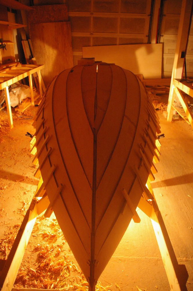 gal/Sooty_Tern_Build/Sooty_Tern_028.jpg