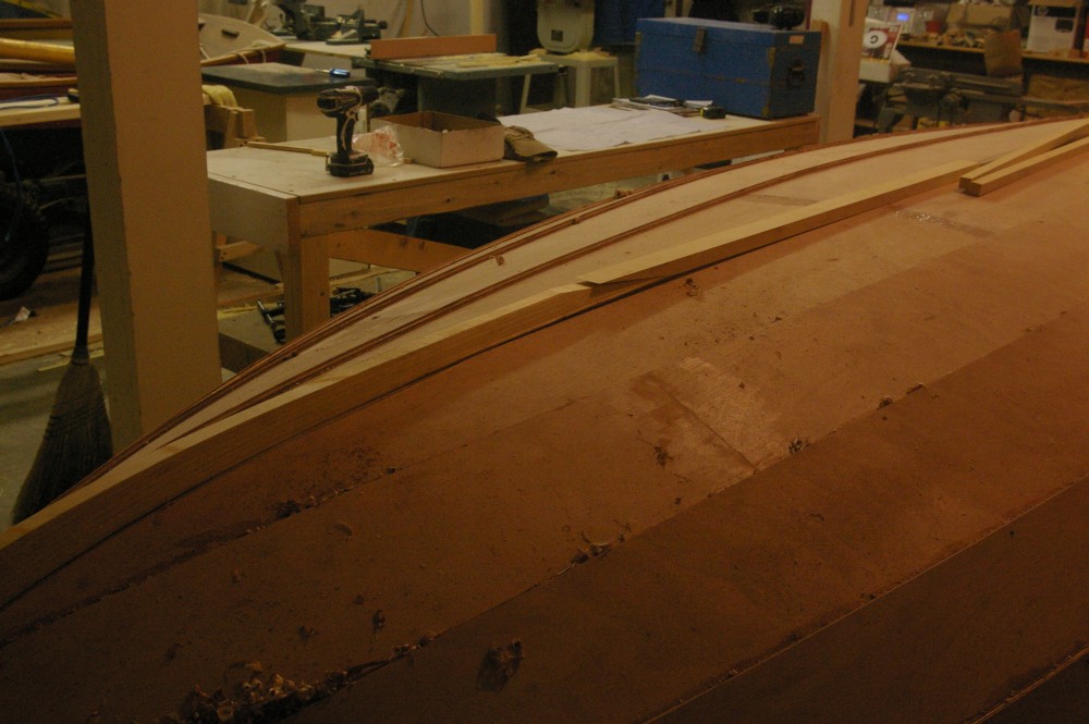 gal/Sooty_Tern_Build/Sooty_Tern_035.jpg