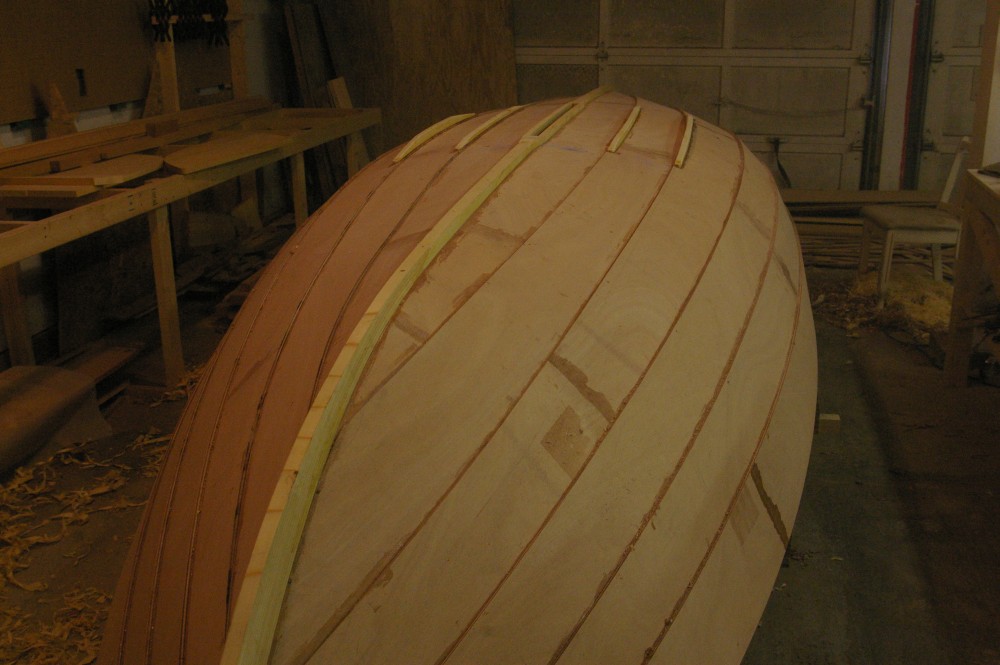 gal/Sooty_Tern_Build/Sooty_Tern_037.jpg