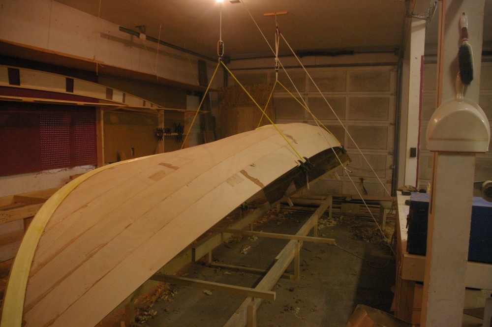 gal/Sooty_Tern_Build/Sooty_Tern_040.jpg