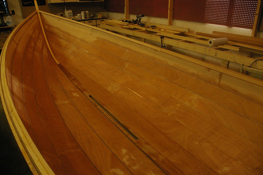 gal/Sooty_Tern_Build/Sooty_Tern_060.jpg