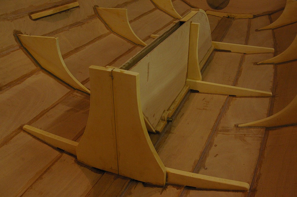 gal/Sooty_Tern_Build/Sooty_Tern_083.jpg