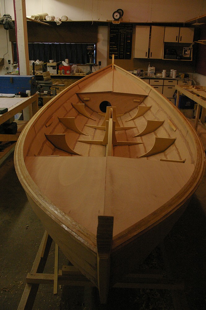 gal/Sooty_Tern_Build/Sooty_Tern_086.jpg