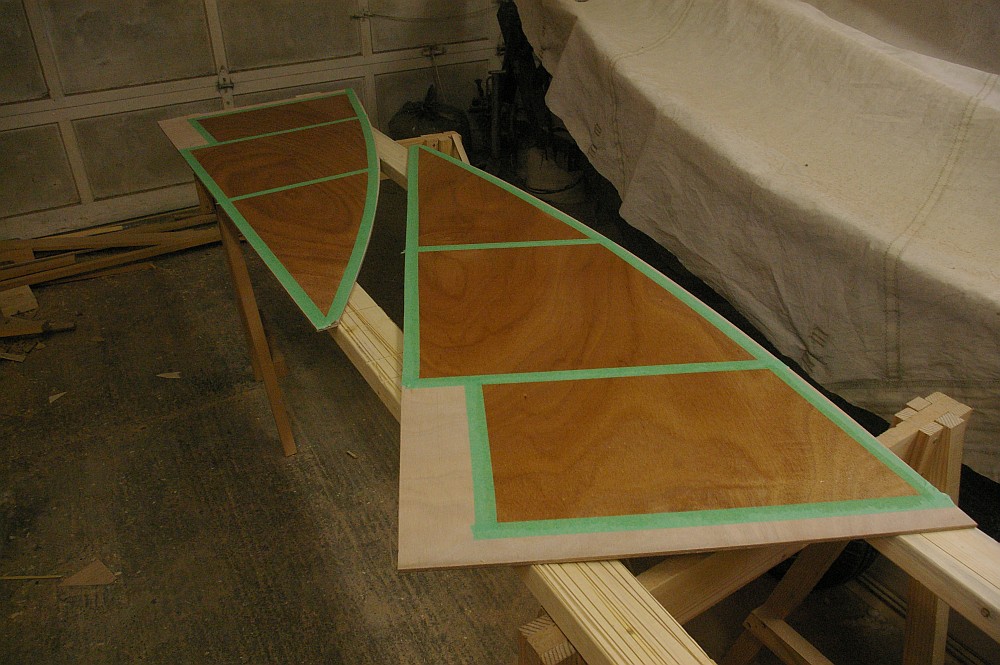gal/Sooty_Tern_Build/Sooty_Tern_088.jpg