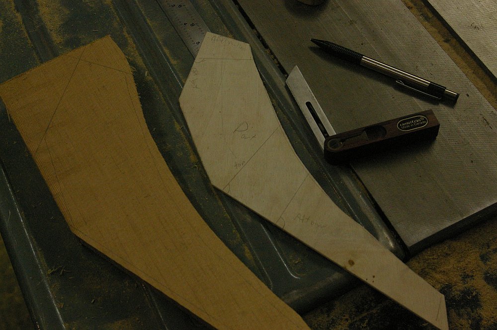 gal/Sooty_Tern_Build/Sooty_Tern_100.jpg