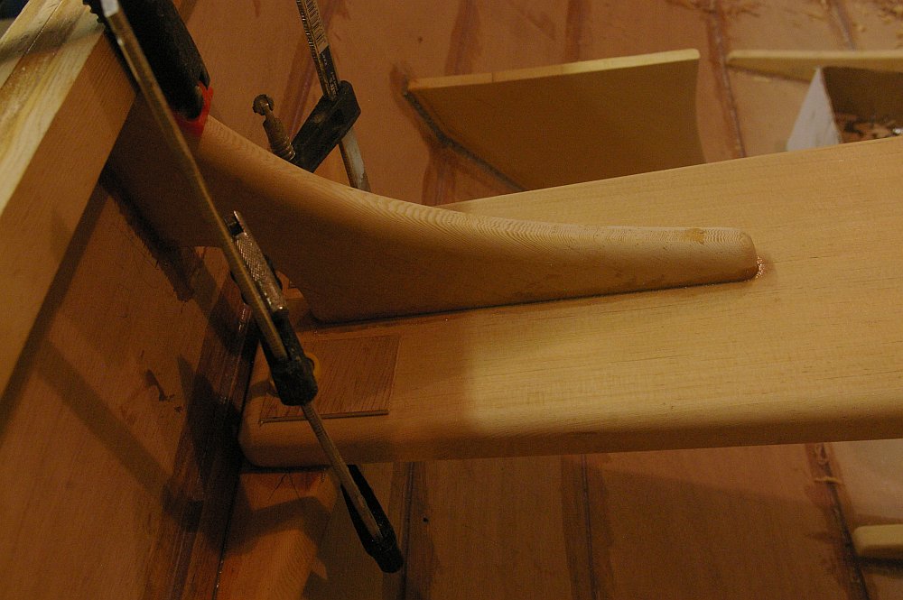 gal/Sooty_Tern_Build/Sooty_Tern_104.jpg
