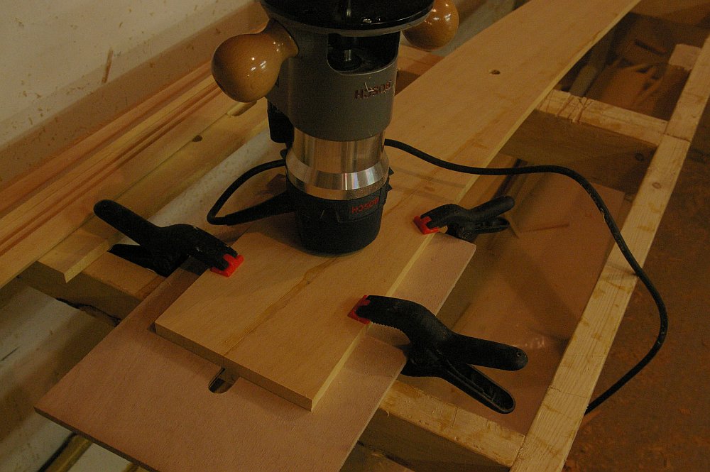 gal/Sooty_Tern_Build/Sooty_Tern_106.jpg