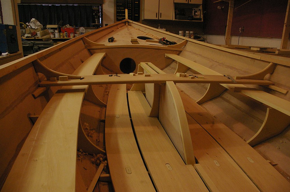 gal/Sooty_Tern_Build/Sooty_Tern_113.jpg