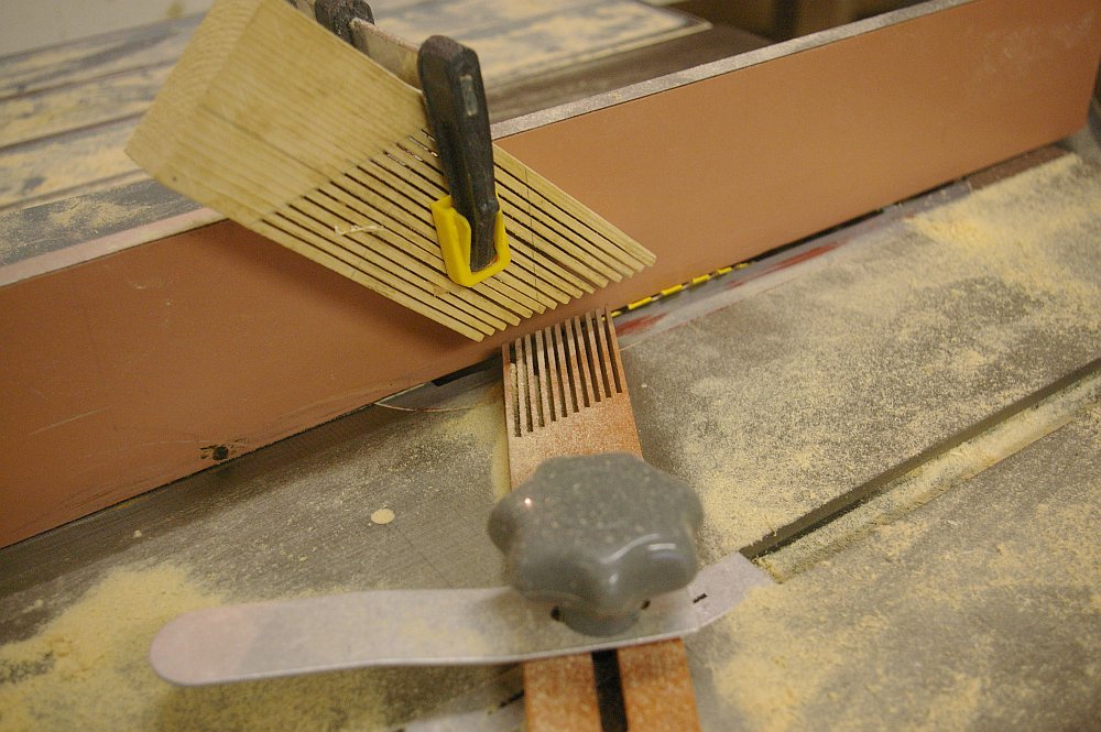gal/Sooty_Tern_Build/Sooty_Tern_137.jpg