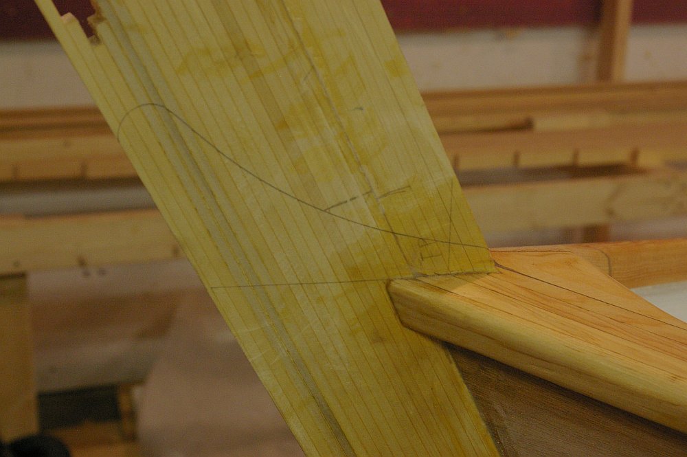 gal/Sooty_Tern_Build/Sooty_Tern_142.jpg