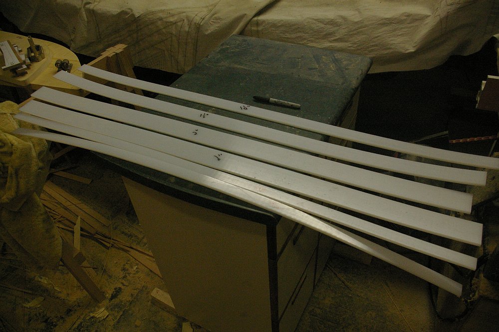 gal/Sooty_Tern_Build/Sooty_Tern_147.jpg