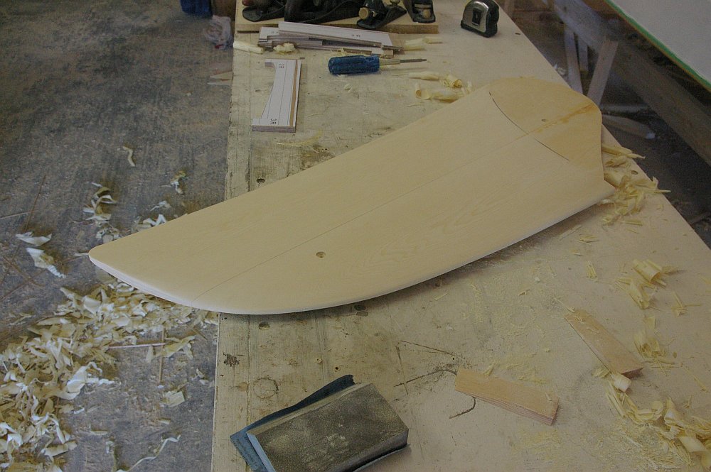 gal/Sooty_Tern_Build/Sooty_Tern_153.jpg