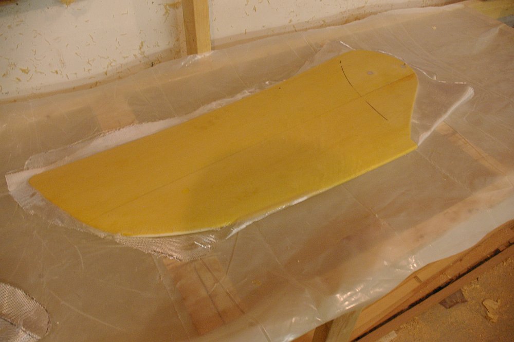 gal/Sooty_Tern_Build/Sooty_Tern_154.jpg