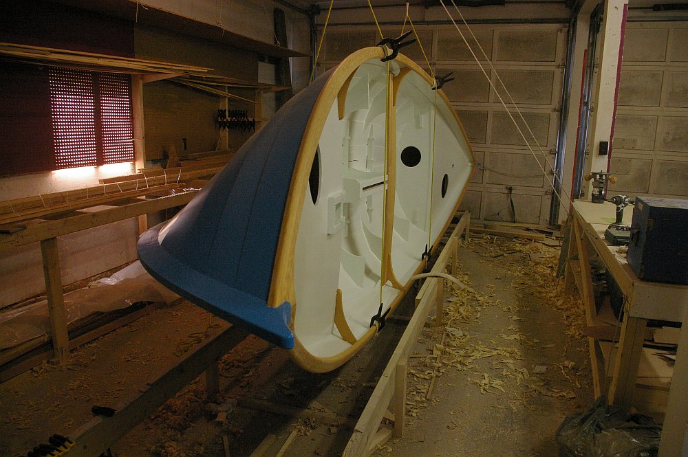 gal/Sooty_Tern_Build/Sooty_Tern_158.jpg