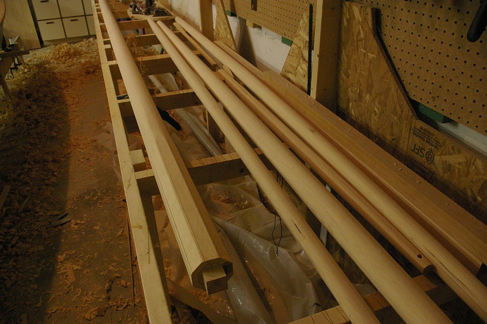 gal/Sooty_Tern_Build/Sooty_Tern_161.jpg