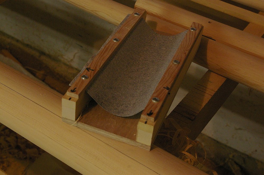 gal/Sooty_Tern_Build/Sooty_Tern_162.jpg