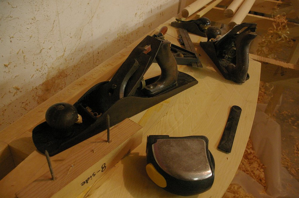 gal/Sooty_Tern_Build/Sooty_Tern_163.jpg
