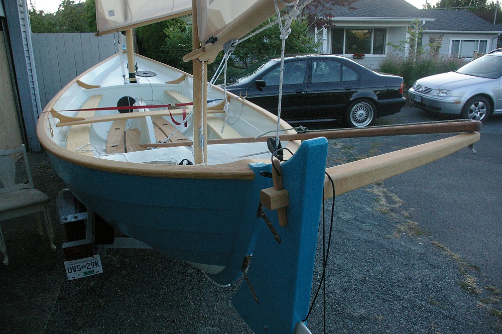 gal/Sooty_Tern_Build/Sooty_Tern_173.jpg