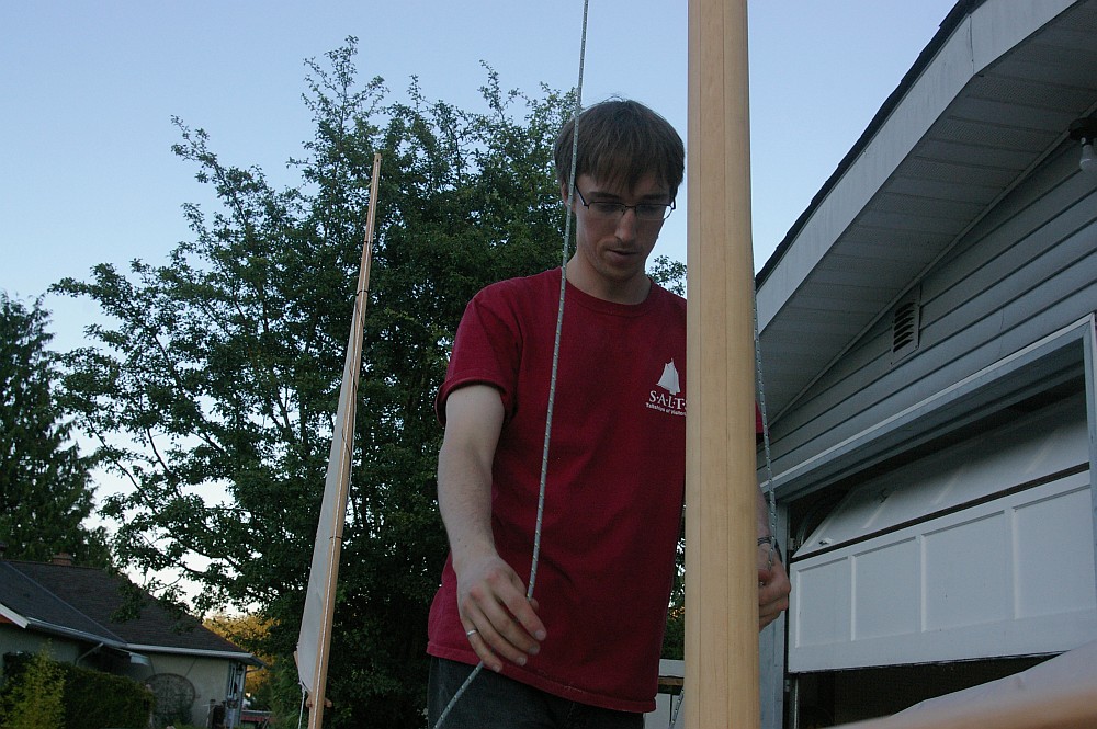 gal/Sooty_Tern_Build/Sooty_Tern_176.jpg