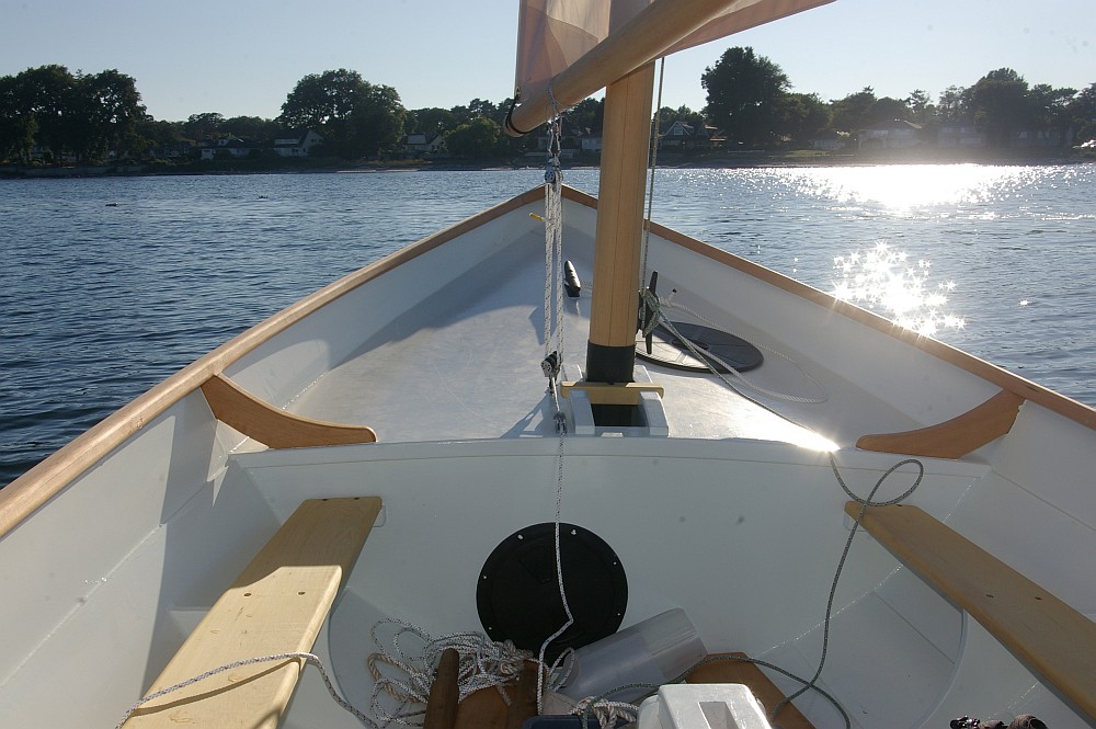 gal/Sooty_Tern_Build/Sooty_Tern_179.jpg