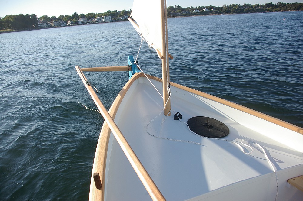 gal/Sooty_Tern_Build/Sooty_Tern_181.jpg