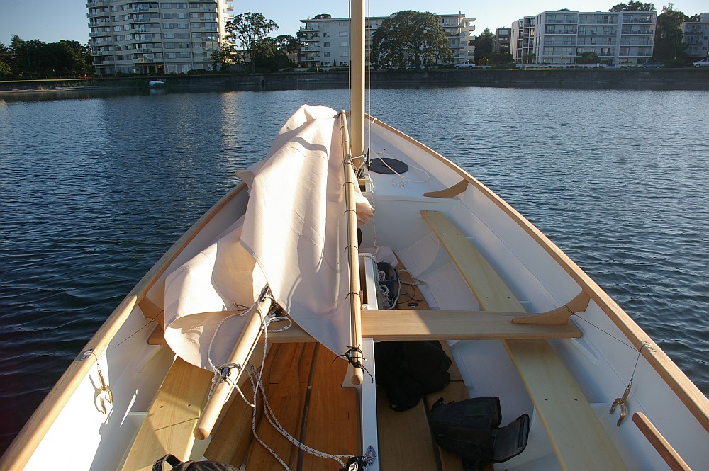 gal/Sooty_Tern_Build/Sooty_Tern_183.jpg