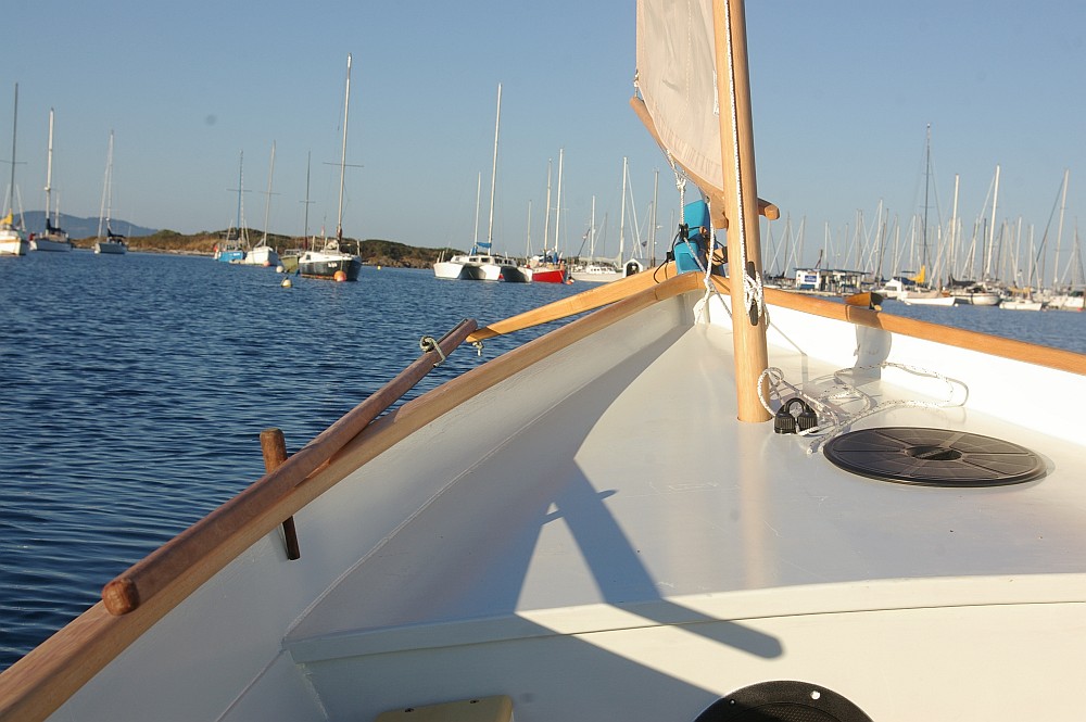 gal/Sooty_Tern_Build/Sooty_Tern_184.jpg