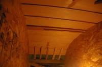gal/Sooty_Tern_Build/_thb_Sooty_Tern_027.jpg