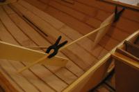 gal/Sooty_Tern_Build/_thb_Sooty_Tern_071.jpg