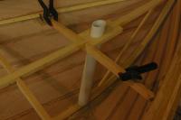 gal/Sooty_Tern_Build/_thb_Sooty_Tern_081.jpg