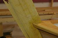 gal/Sooty_Tern_Build/_thb_Sooty_Tern_142.jpg