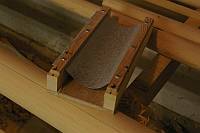 gal/Sooty_Tern_Build/_thb_Sooty_Tern_162.jpg