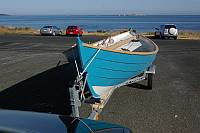 gal/Sooty_Tern_Build/_thb_Sooty_Tern_177.jpg